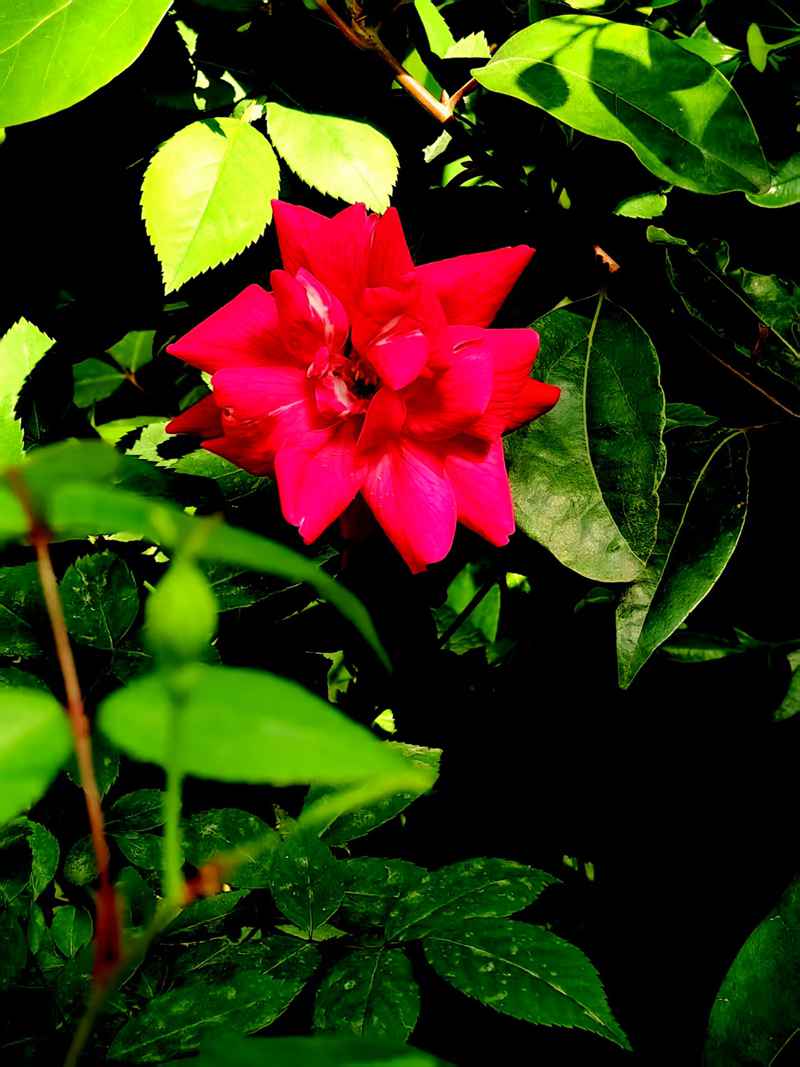 ΢ͼƬ_2025-04-14_171749_578.jpg