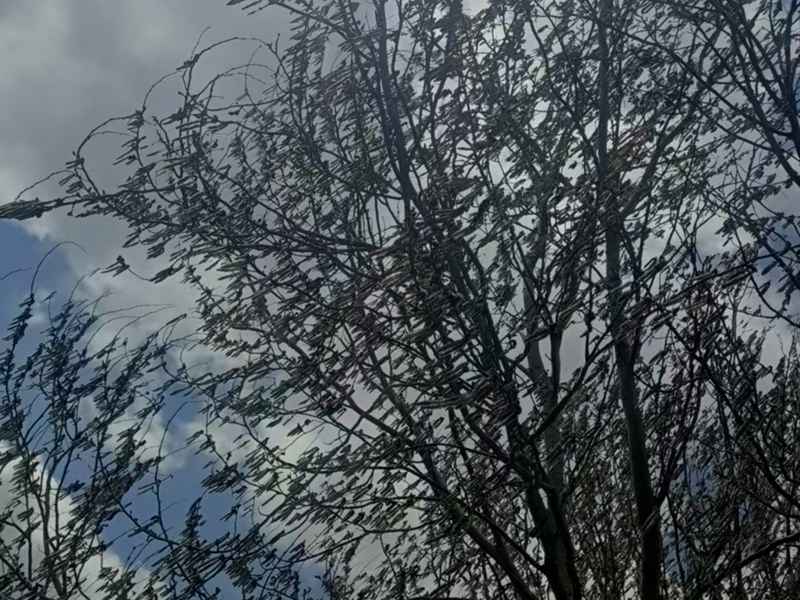 ΢ͼƬ_2025-04-14_172536_114.jpg