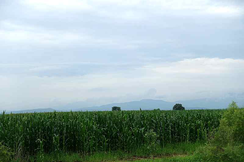 DSC04377.JPG