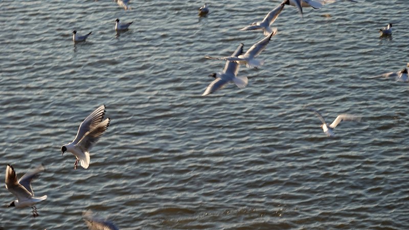 DSC00681.JPG