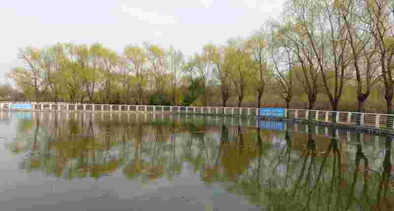 DSC01648.JPG