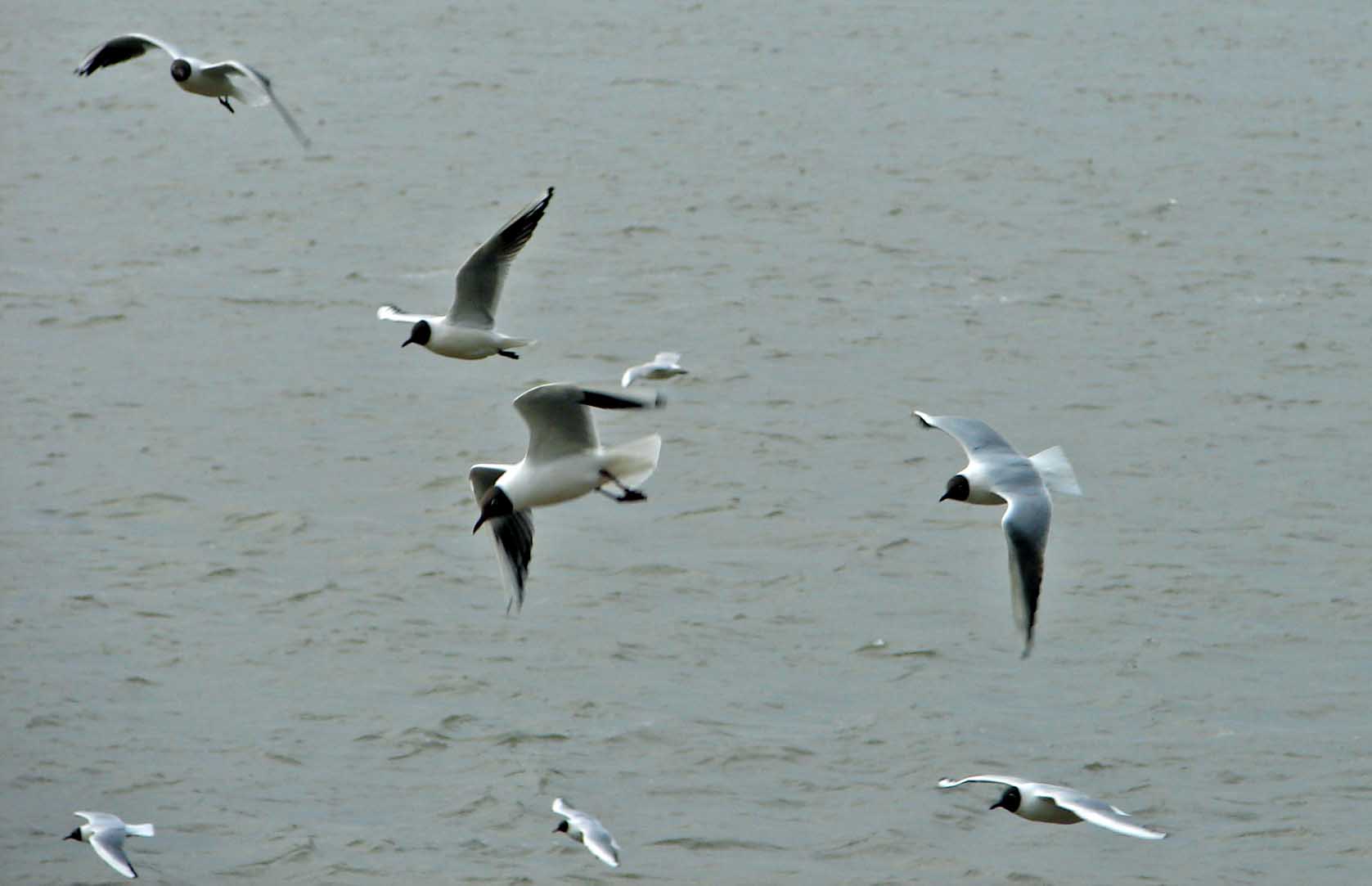 DSC06154-3-.jpg