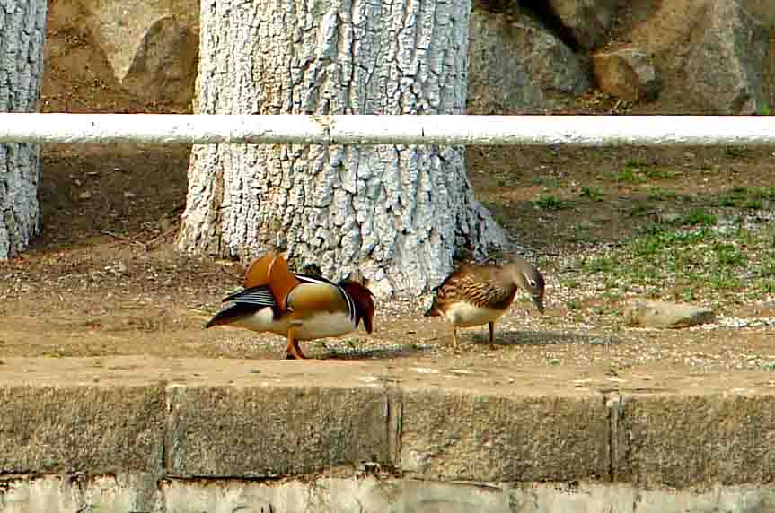 DSC07182-3-.jpg