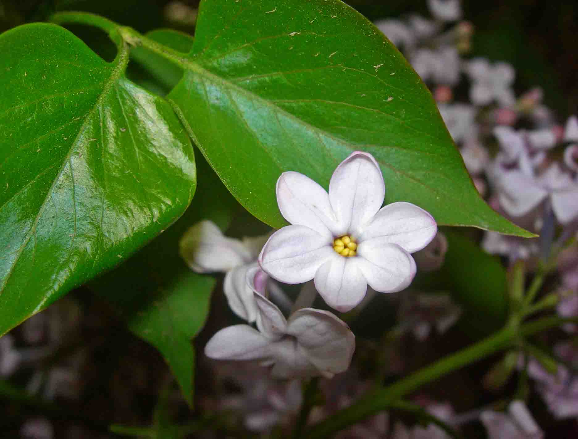 0DSCN3944-3.jpg