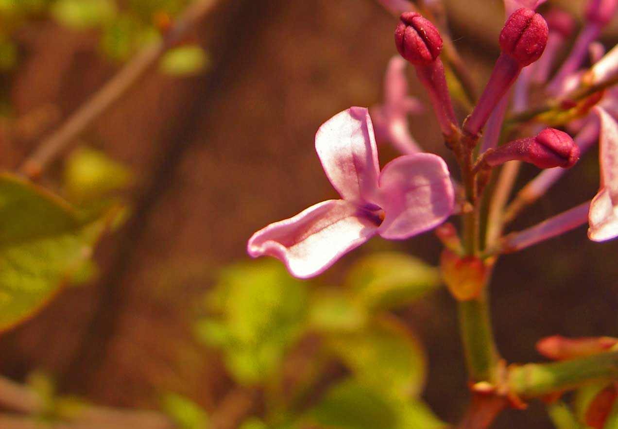 1-DSC07297-3-.jpg