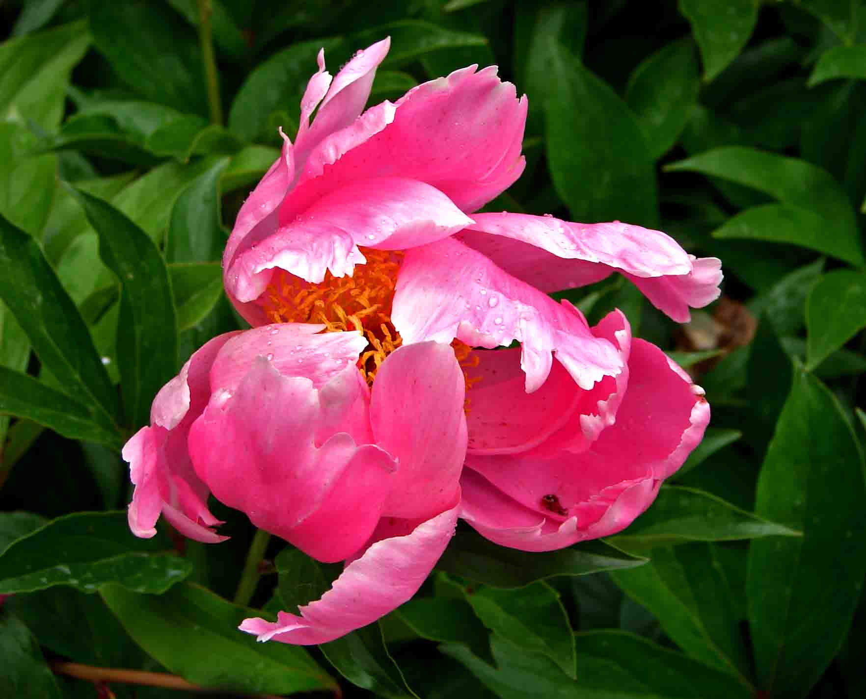 DSC07863-3.jpg