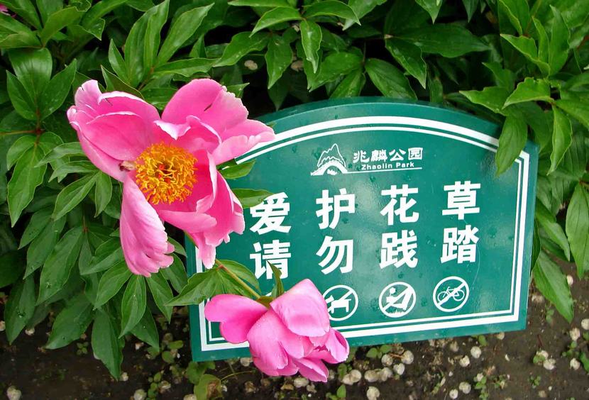 DSC07849-2.jpg