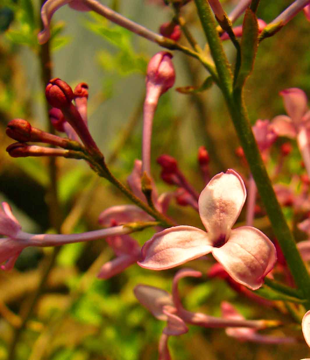 DSC07319-3-.jpg