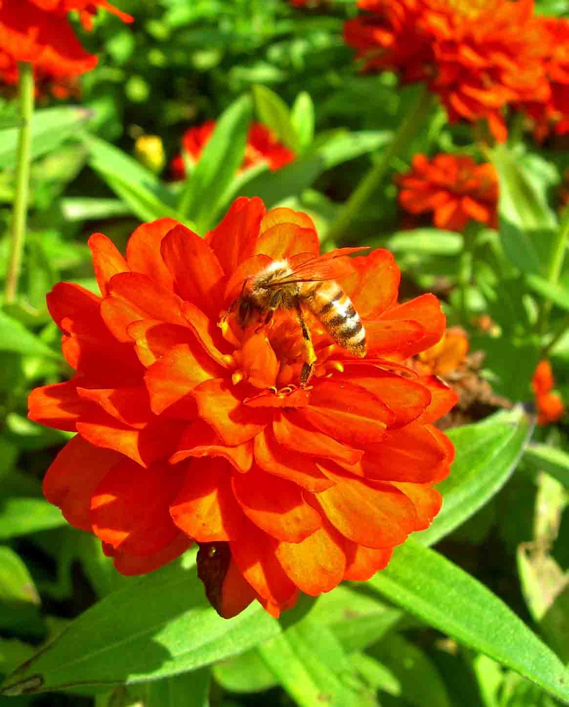 8-DSCN1861-3.jpg