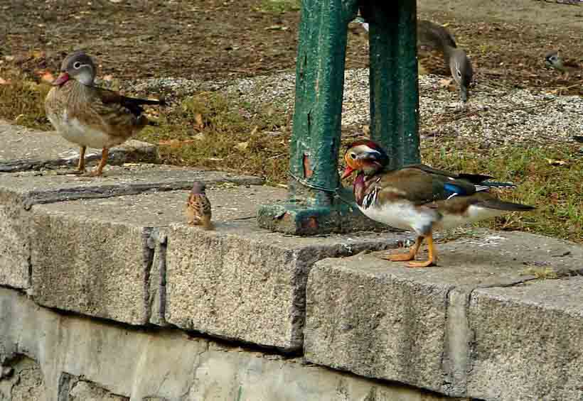 DSC08623-3.jpg