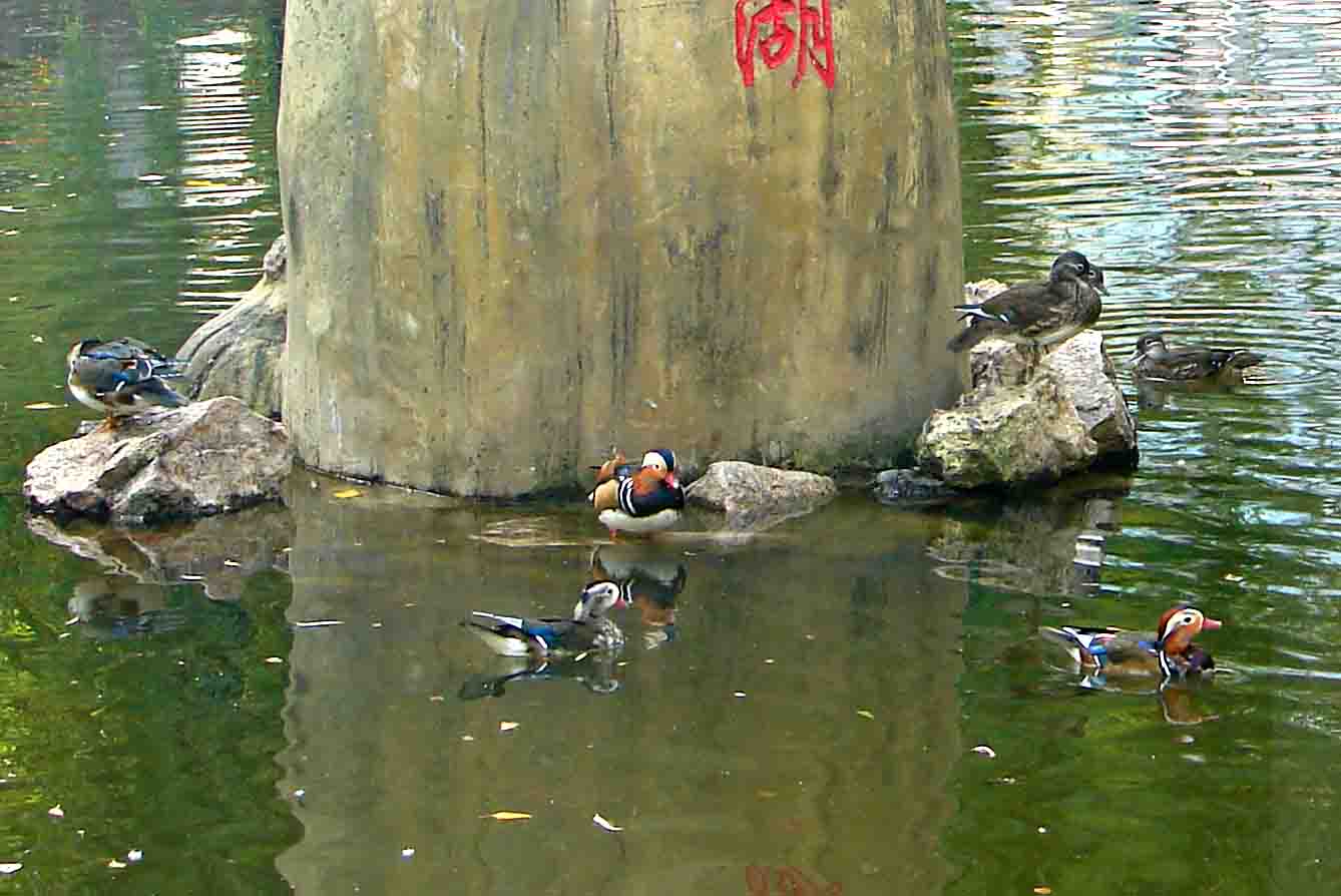 DSC08627-3.jpg