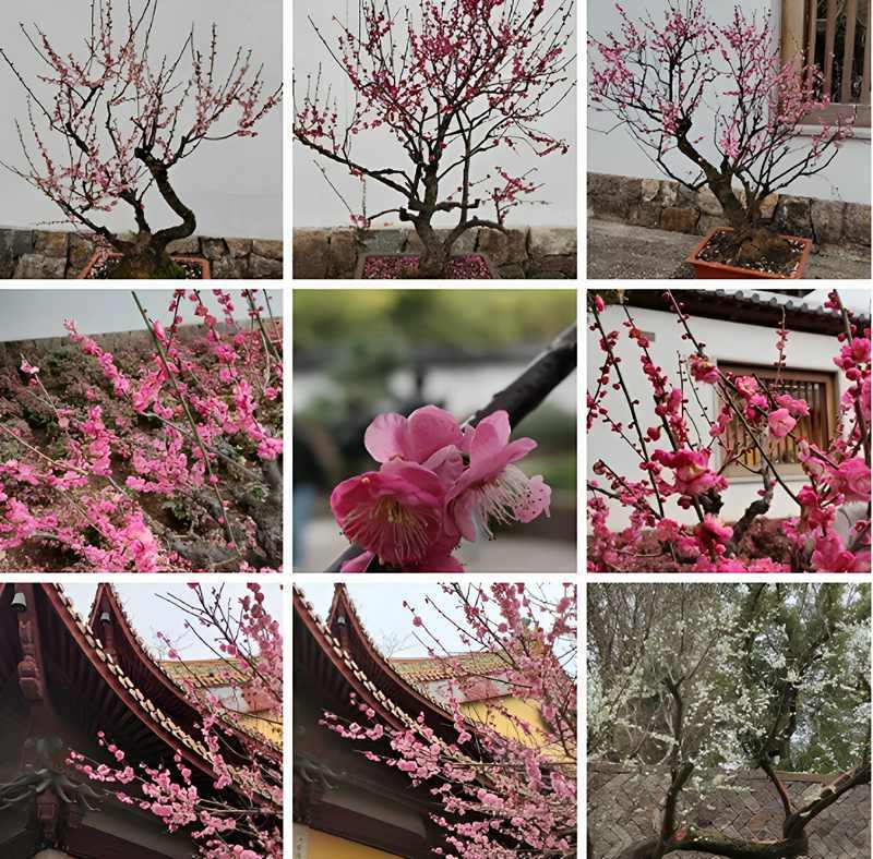 ��Ļ��ͼ 2026-02-17 143320_����.jpg