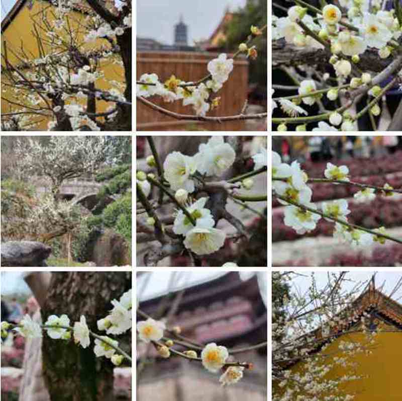 ��Ļ��ͼ 2026-02-17 154526_����.jpg