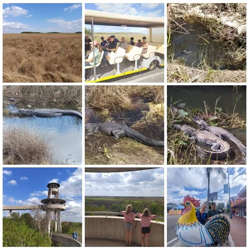 ��Ļ��ͼ 2026-02-19 134033_����.jpg