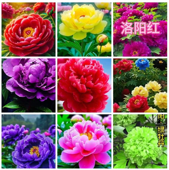 ��Ļ��ͼ 2026-02-20 221839_����_����.jpg