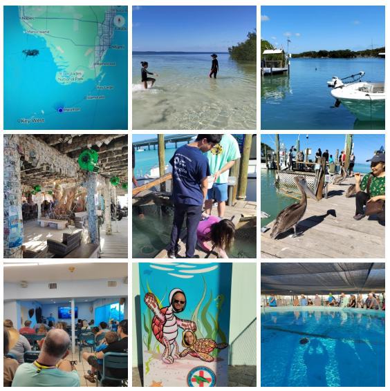 ��Ļ��ͼ 2026-02-21 153315_����.jpg