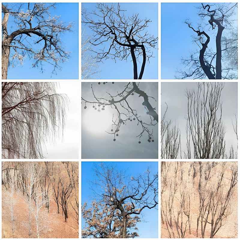 ��Ļ��ͼ 2026-02-26 152859.jpg