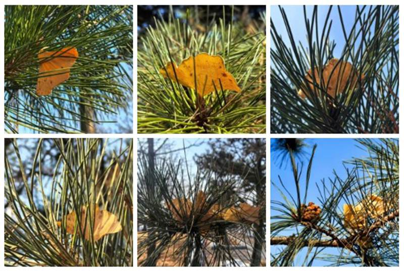 ��Ļ��ͼ 2026-03-07 173525.jpg