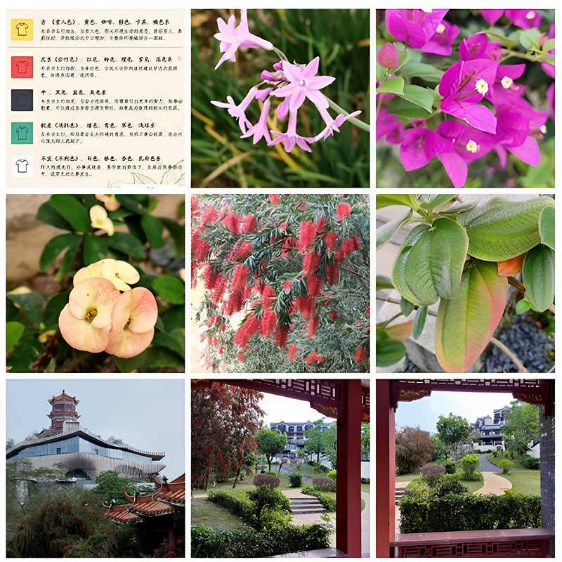 ��Ļ��ͼ 2026-03-08 143548.jpg