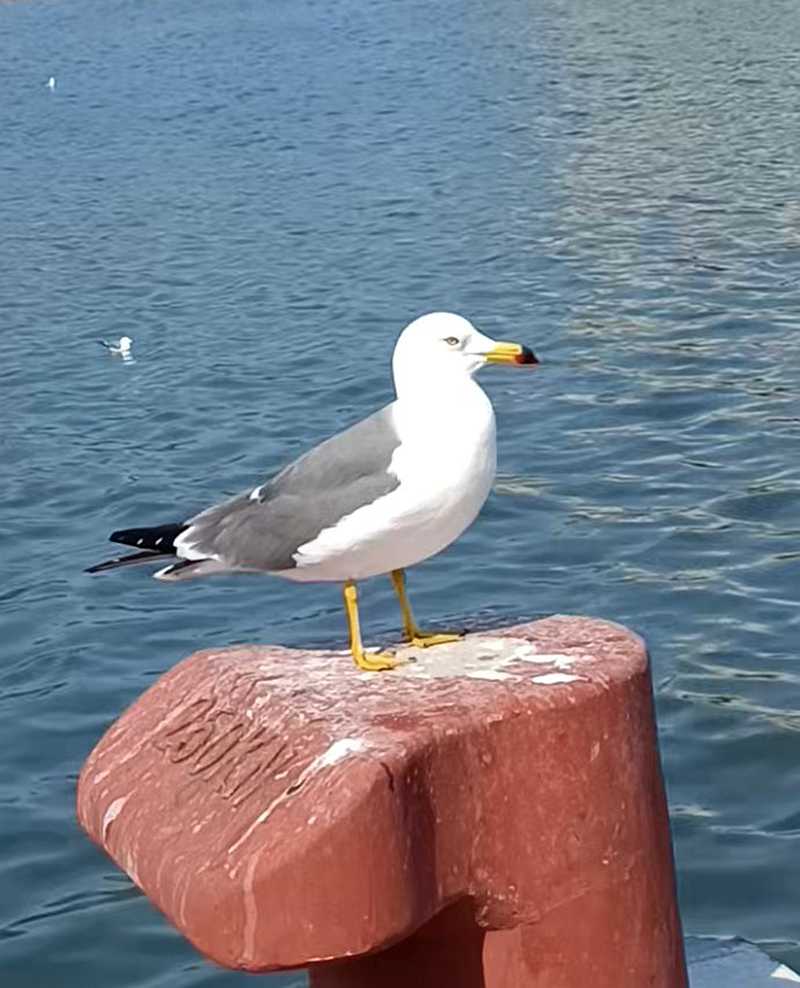 ��Ļ��ͼ 2026-03-21 145438.jpg