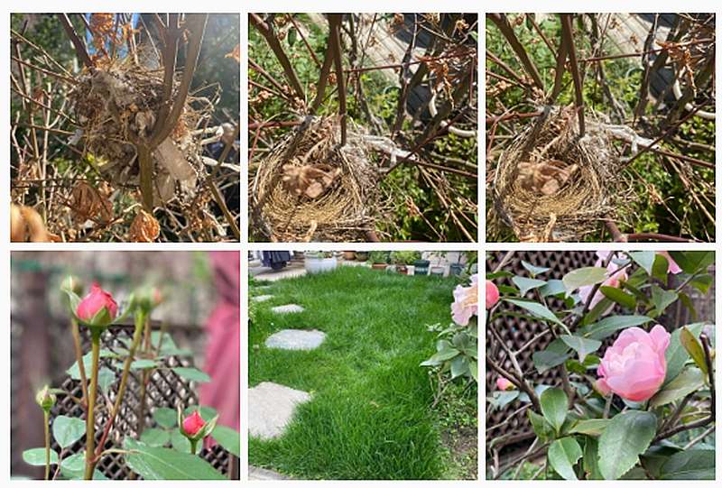 ��Ļ��ͼ 2026-03-24 202839_����_����.jpg