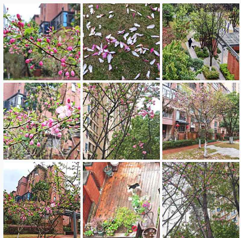 ��Ļ��ͼ 2026-03-24 210347.jpg