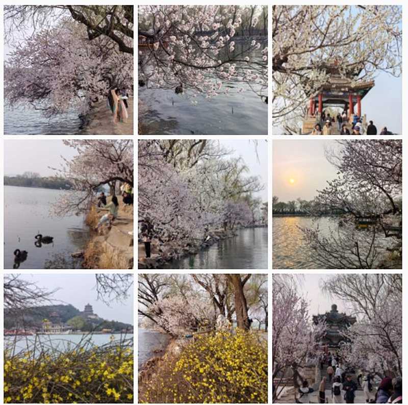 ��Ļ��ͼ 2026-03-24 215130.jpg