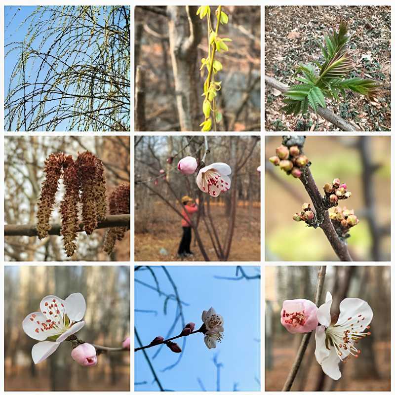 ��Ļ��ͼ 2026-03-25 172428.jpg