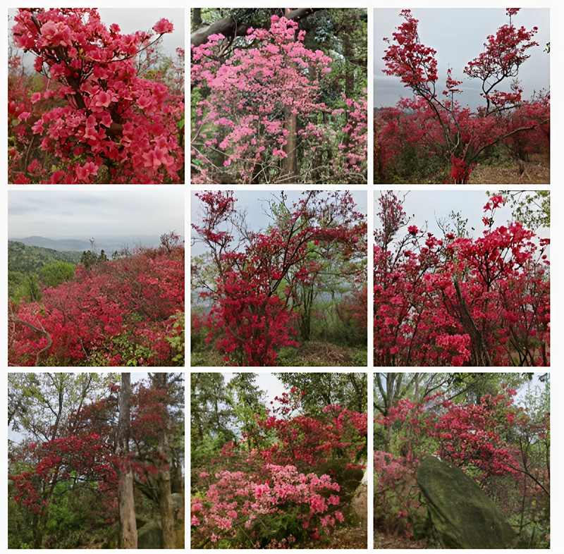 ��Ļ��ͼ 2026-04-11 181343.jpg