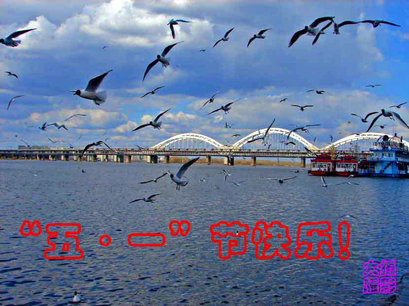 DSC01554-_ .jpg