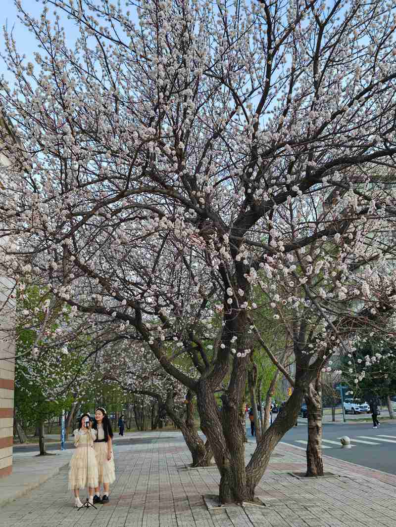 ΢��ͼƬ_20260502125934_27_1065.jpg