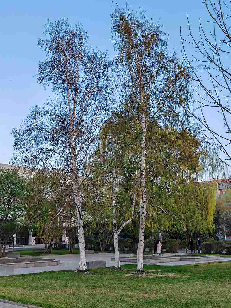 ΢��ͼƬ_20260502130116_38_1065.jpg