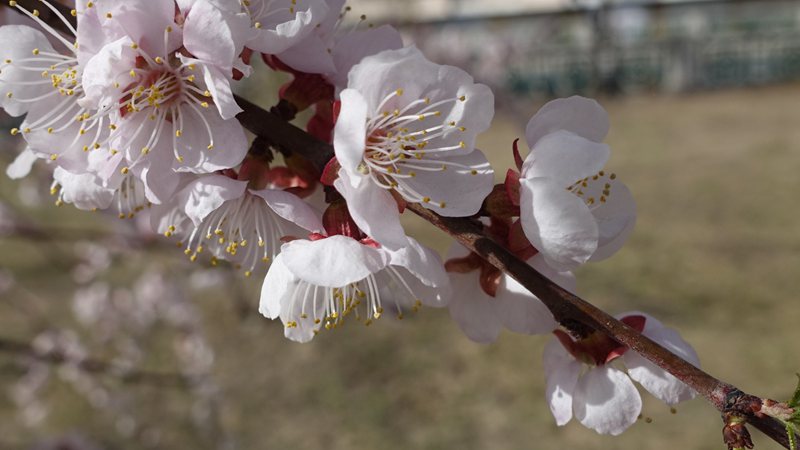 DSC05378_AI��ͼ.jpg