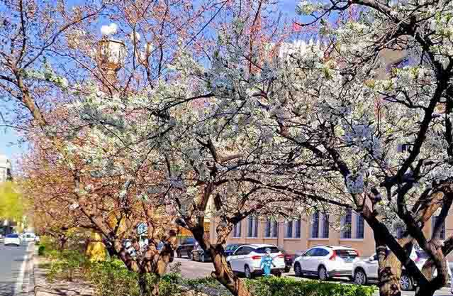 ΢��ͼƬ_20260504184309_1218_2-3.jpg