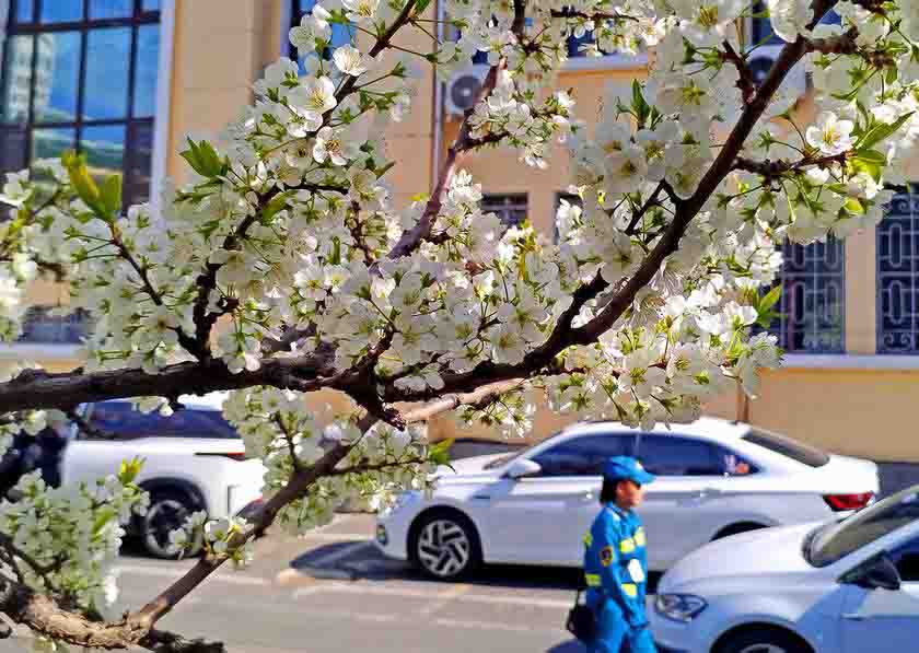΢��ͼƬ_20260504184314_1219_2-3.jpg