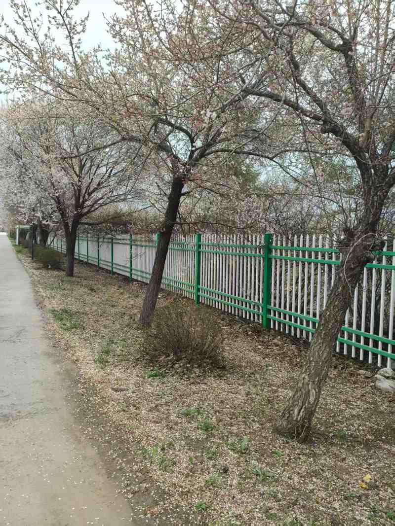 ΢��ͼƬ_20260505164151_4150_15.jpg