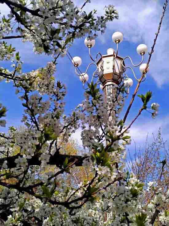 ΢��ͼƬ_20260504184431_1229_2-3.jpg