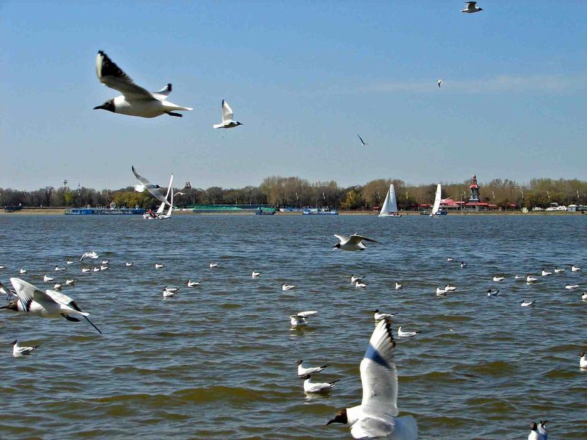DSC01776-2.jpg