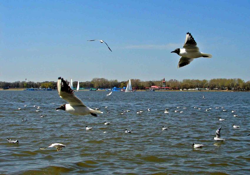 DSC01802-2.jpg