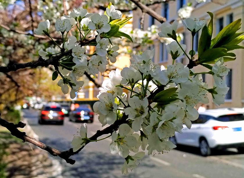 ΢��ͼƬ_20260504184334_1221_2-2.jpg