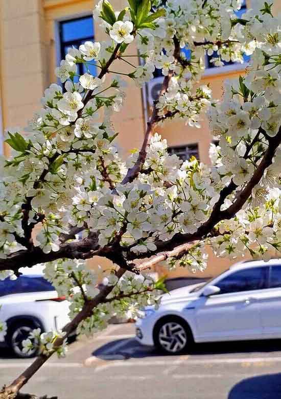 ΢��ͼƬ_20260504184328_1220_2-3.jpg