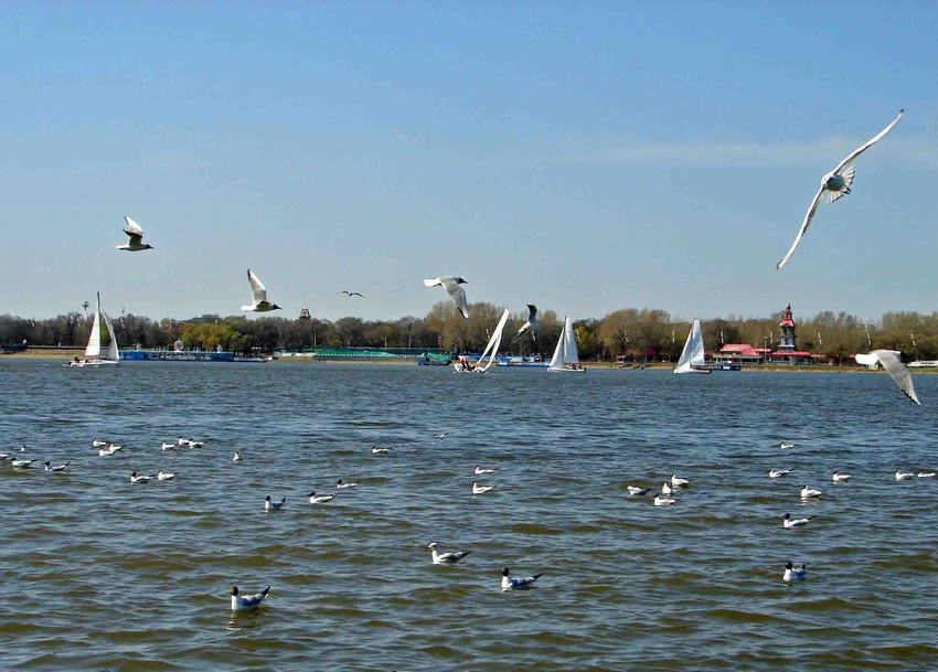 DSC01780-2.jpg