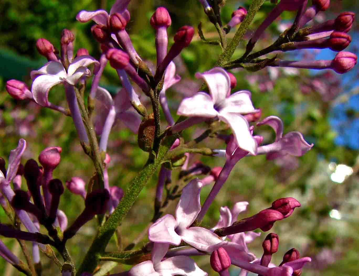 DSC03129-3-.jpg