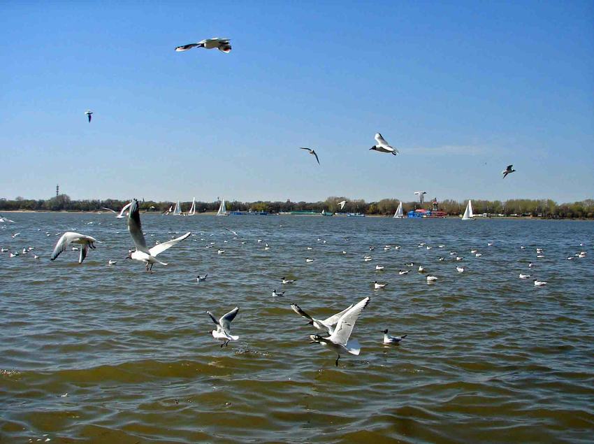 DSC01792-2.jpg
