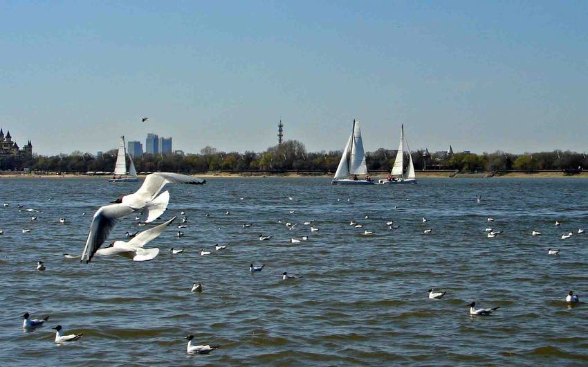 DSC01769-2.jpg
