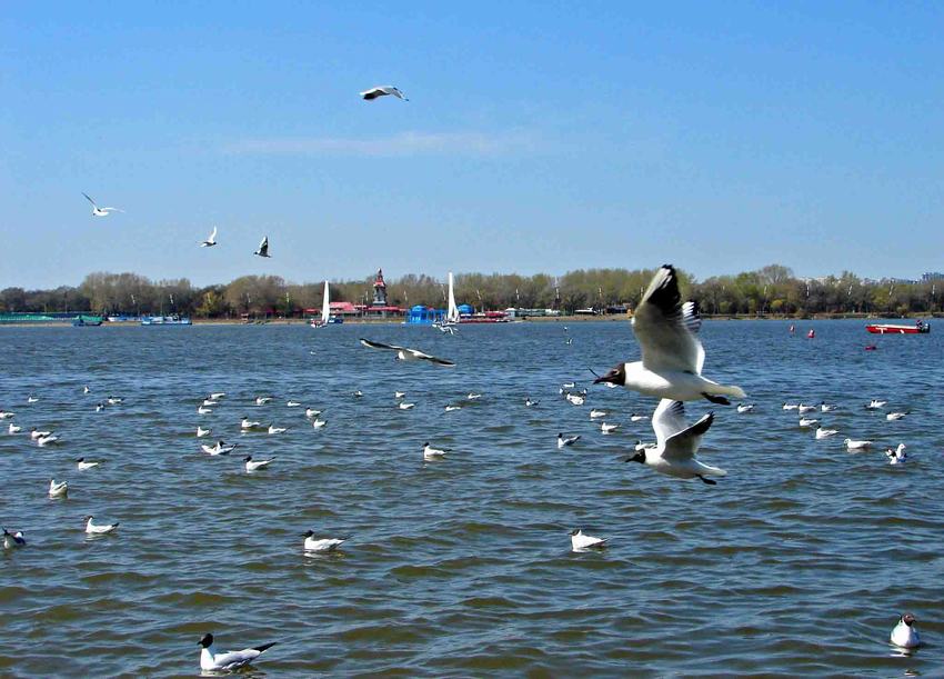 DSC01788-2.jpg