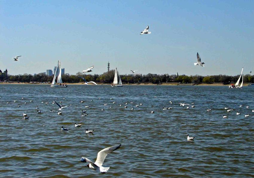 DSC01773-2.jpg