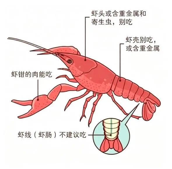 2-CB20260515061742370053.jpg