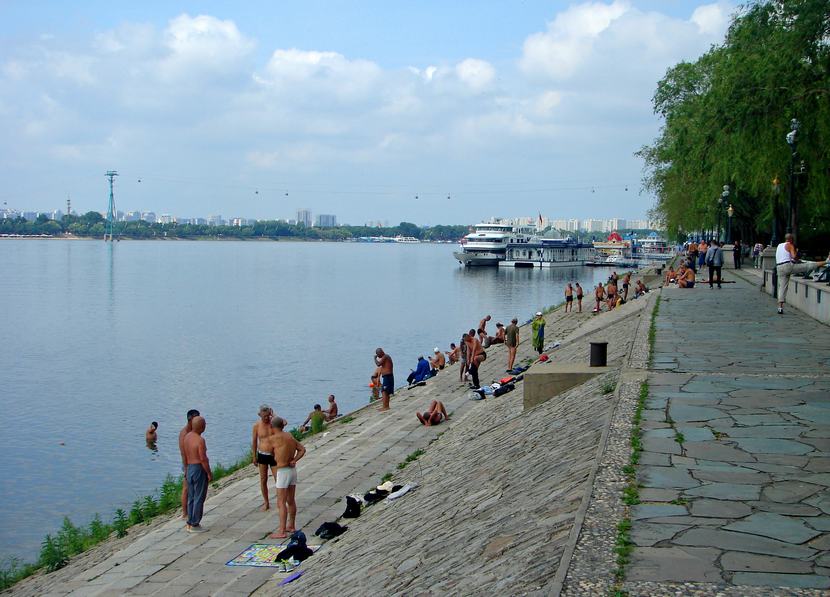 DSC03768-.jpg