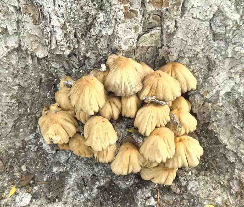 ΢��ͼƬ_2026-06-19_154048_096.jpg